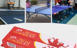 美洲综合格斗赛后回顾英雄联盟乒乓球技巧教学赛车手访谈